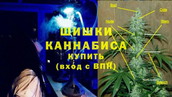 эйфоретик Корсаков