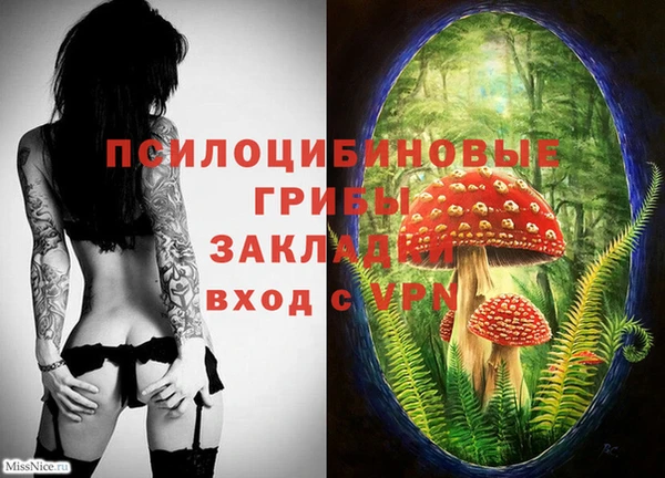 метамфетамин Коряжма