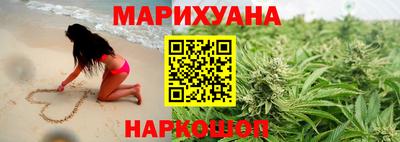 шишки Новозыбков